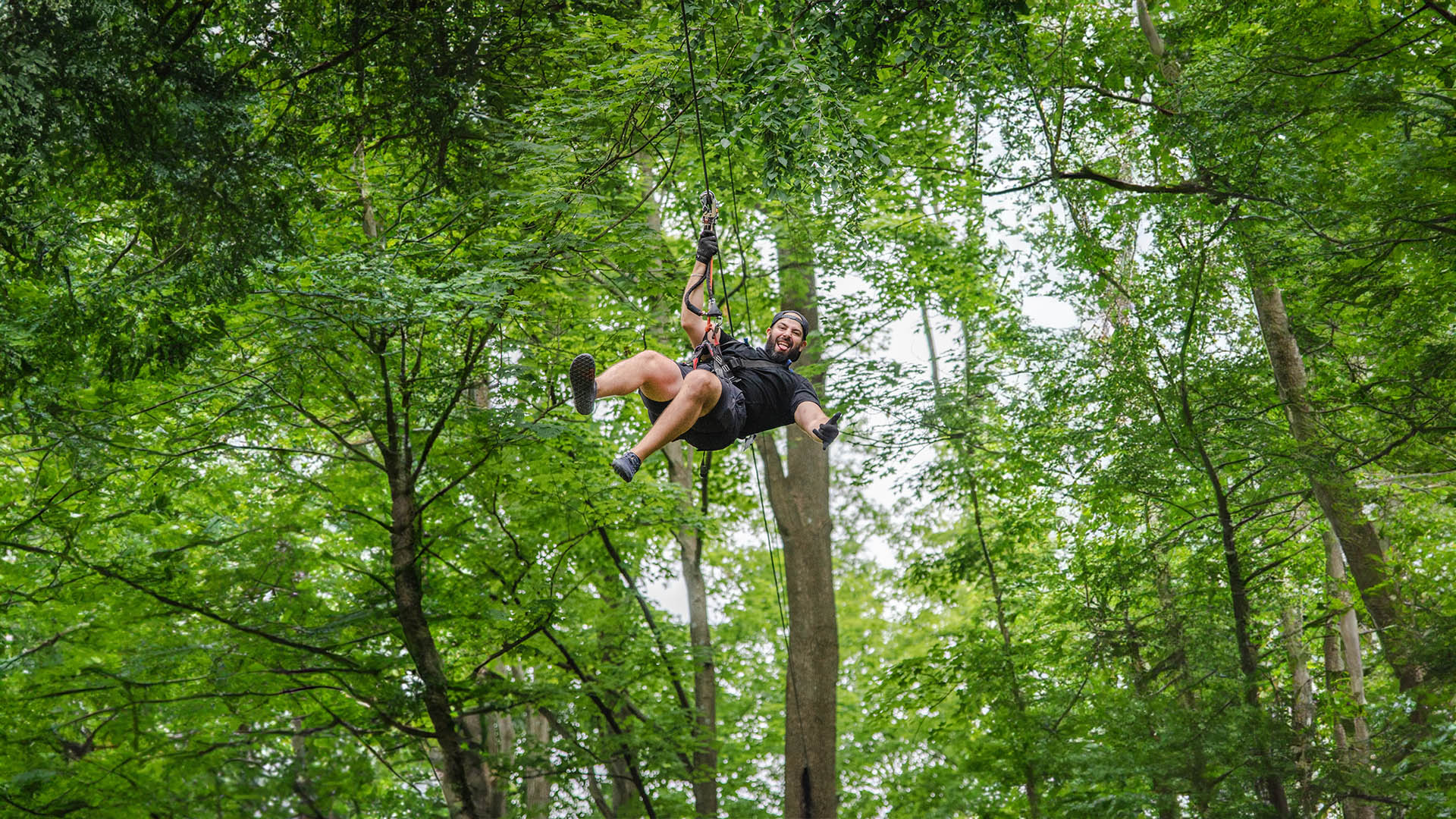 Corporate aerial adventure challenge team building